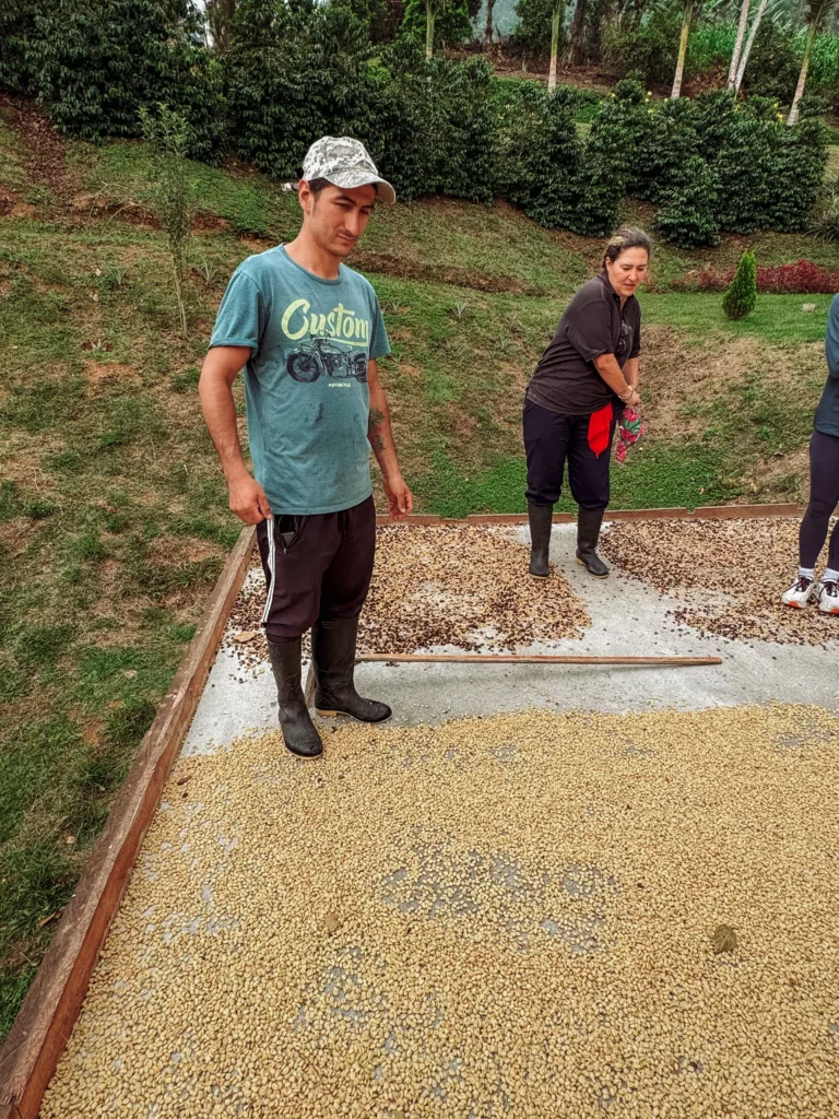 Daniel explaining the drying process of the coffee beans